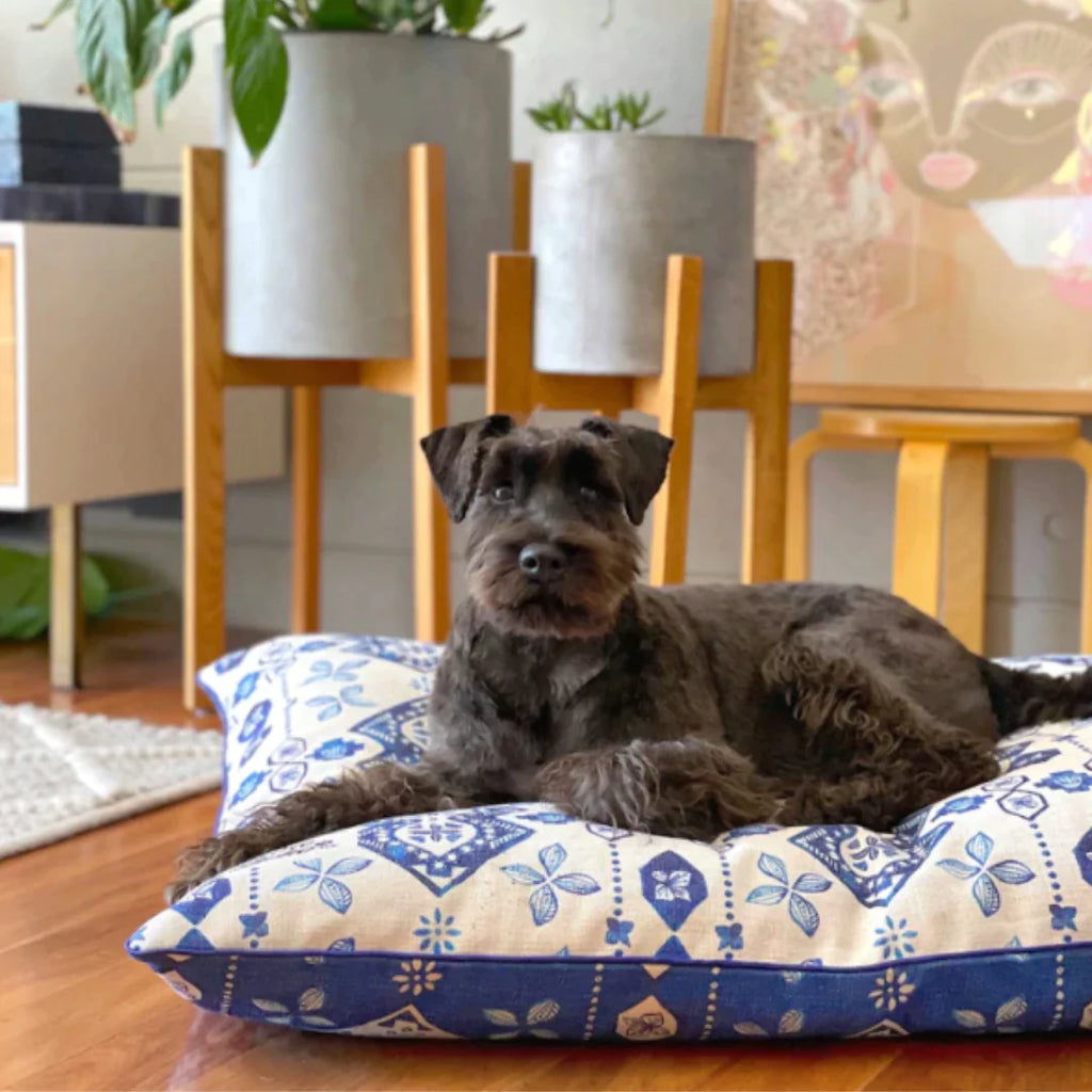 Black Schnauzer dog laying on a reversible dog bed, with one side printed blue on white and the other white on blue. Available at Little Ellie Boutique, an Australian dog brand