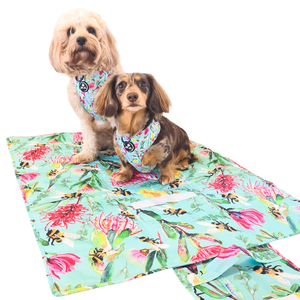 Two dogs sit on a brightly coloured teal travel mat with bright pink flowers and yellow bumblebees. Cavoodle and Dachshund in the picture, wear a matching harness