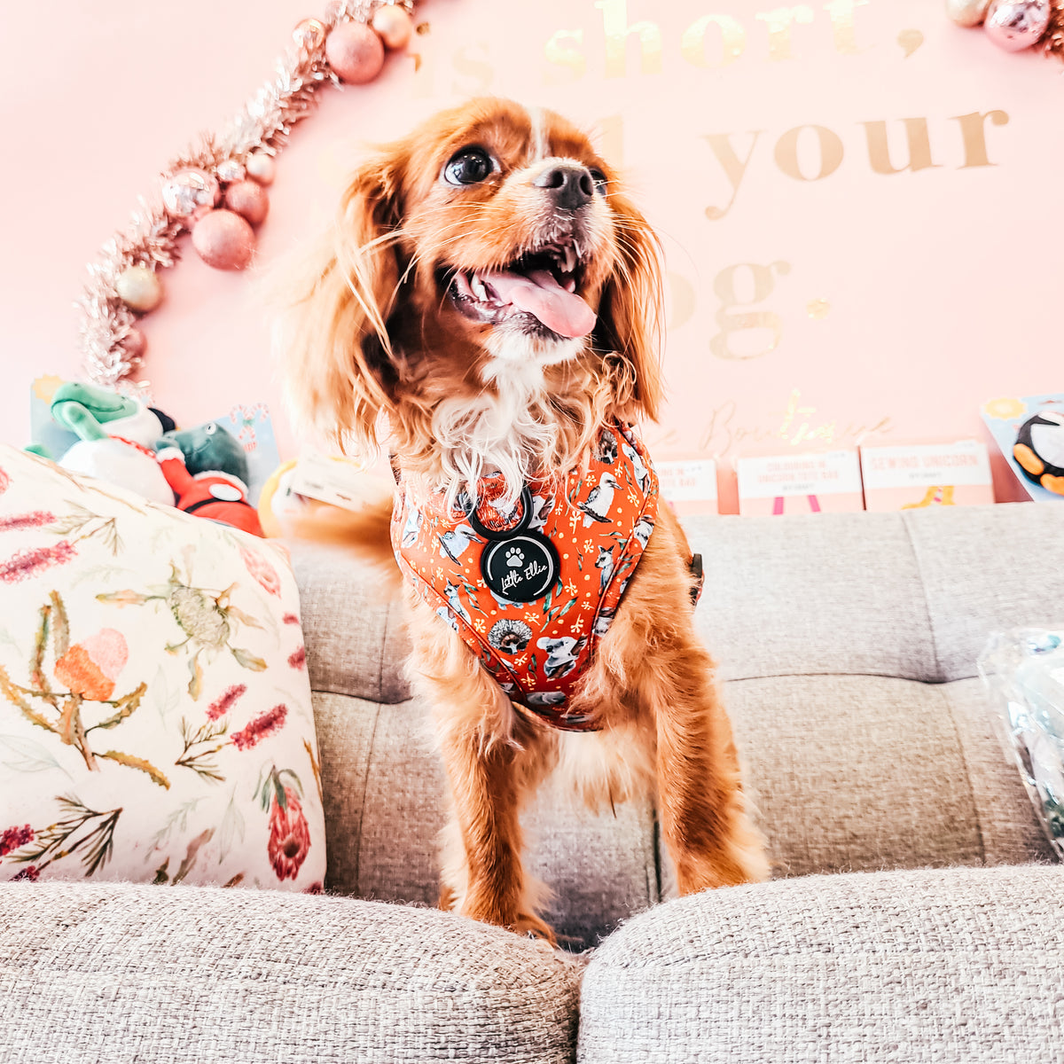 Adjustable Dog Harness Aussie Animals Little Ellie Boutique