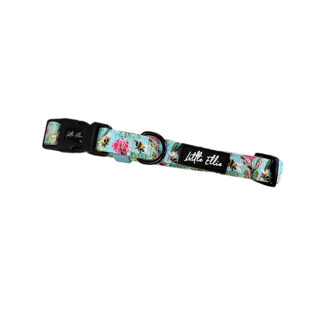 Adjustable dog collar made from neoprene, quick-dry webbing in a colourful native bees design