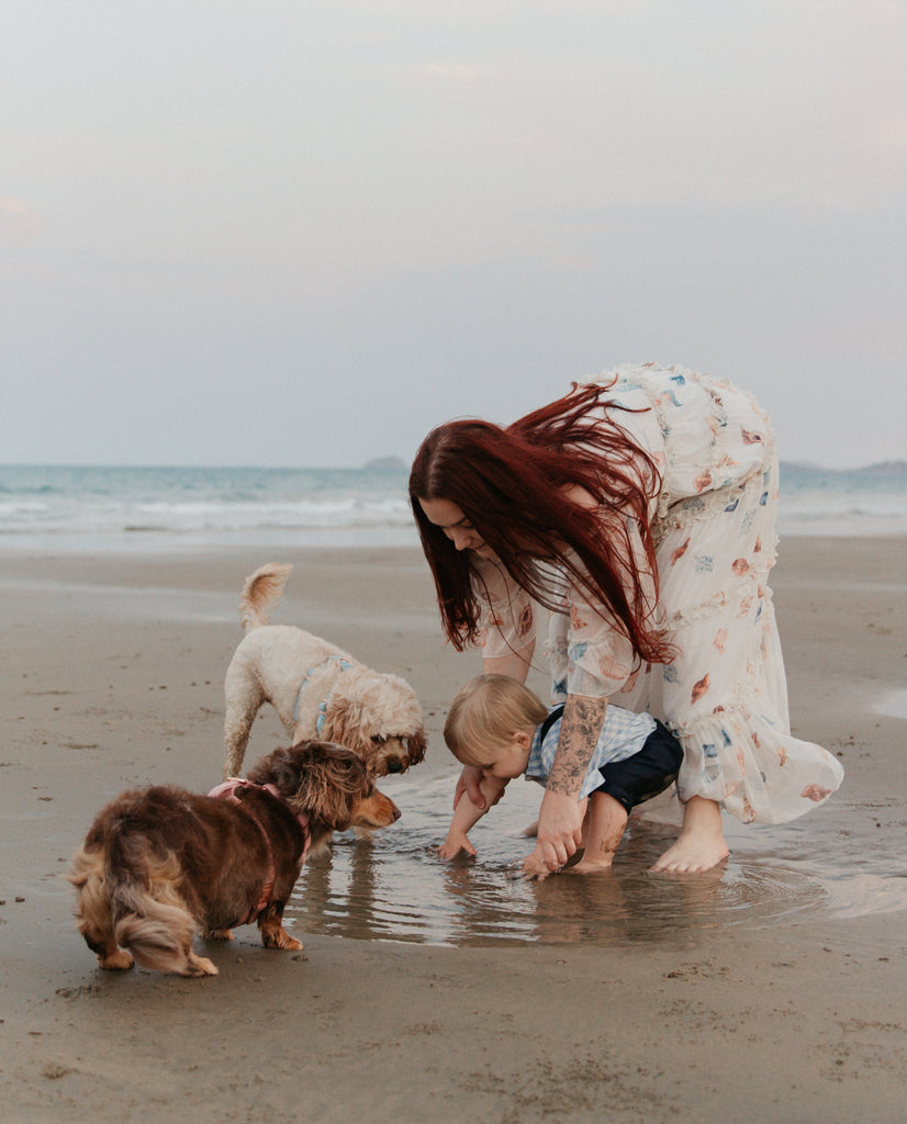 From Fur Babies to First Steps: Our Story