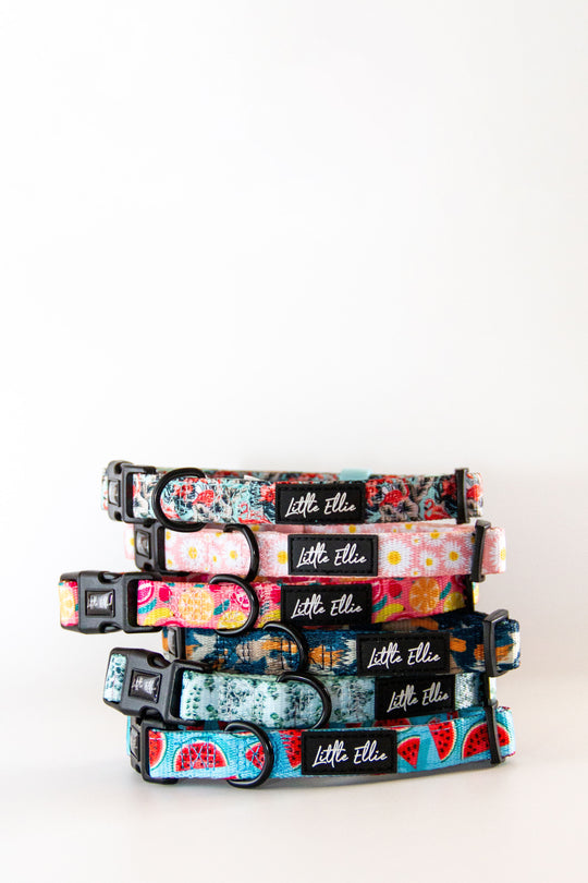 Stack of brightly coloured, adjustable dog collars in a variety of bold, stylish prints from Little Ellie Boutique, an Australian dog brand.