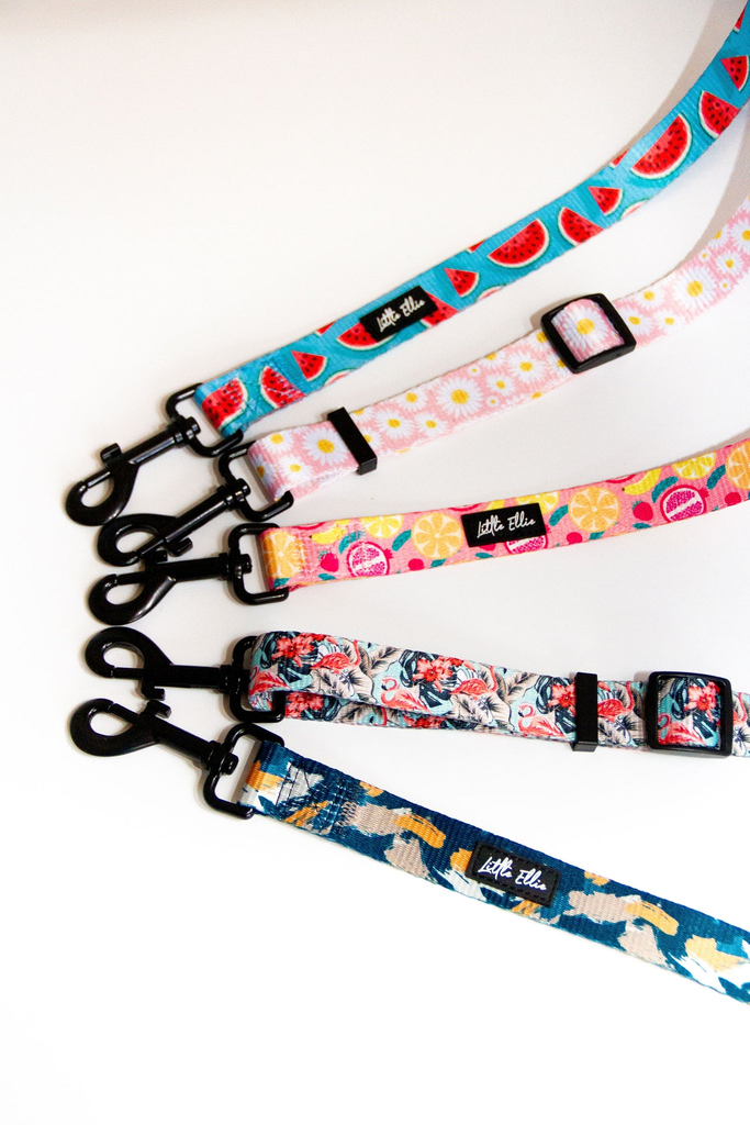 Adjustable dog leashes in bright, colourful prints lay on a white table, draping down with all durable black clasps joining together