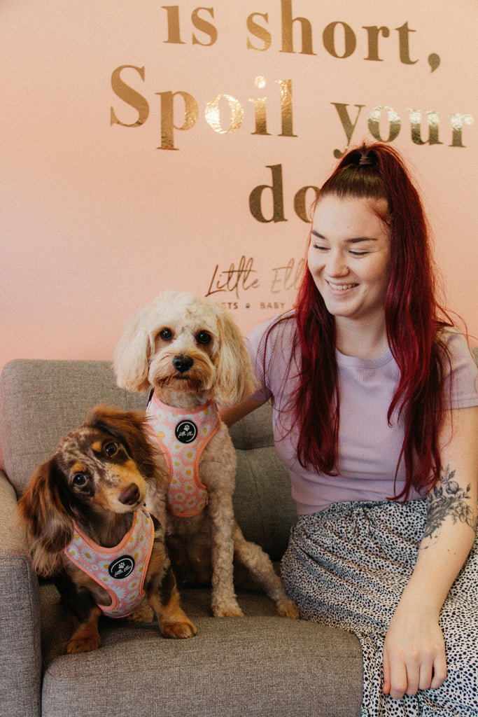 A girl wearing a spotted skirt and lilac top sits on a couch next to her two dogs wearing adjustable dog harnesses in white and pink daisy prints from Little Ellie, an Australian dog brand