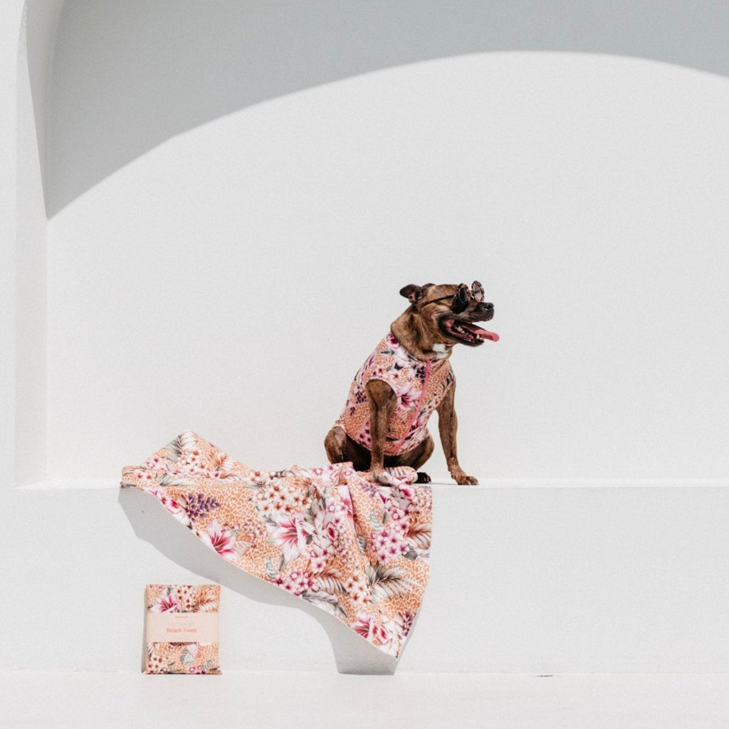 Tan merle staffy dog sits on a white concrete bench wearing a SPF 50+ dog rashie, sitting on a dog beach towel wearing dog sunglasses from Sandy Snoots available at Little Ellie Boutique, an Australian dog brand