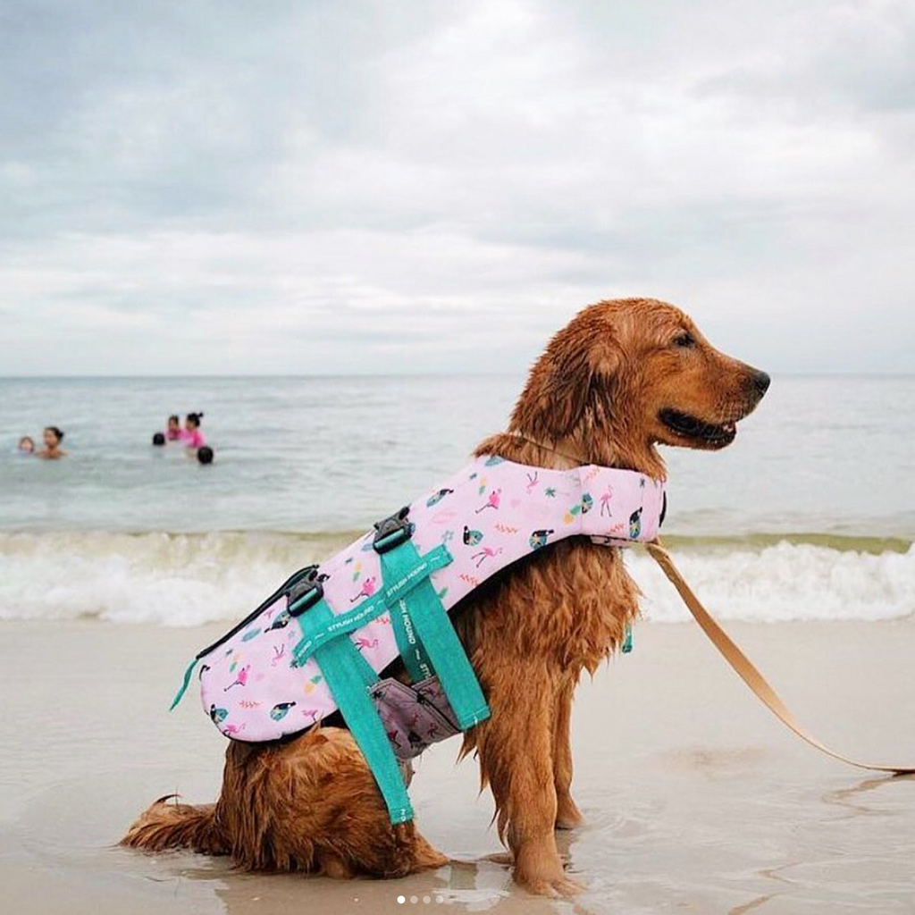 Little Ellie Boutique | Brands | Stylish Hound | Australia