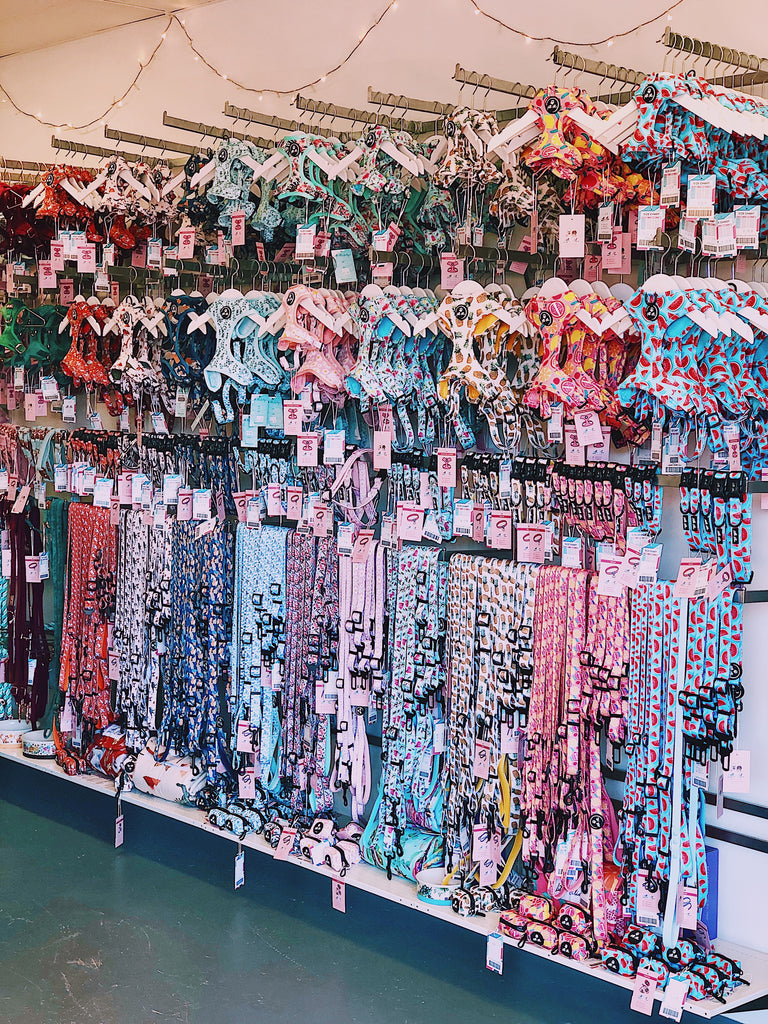 Wall of brightly coloured adjustable dog harnesses, dog collars and adjustable dog leads from Little Ellie Boutique an Australian Brand
