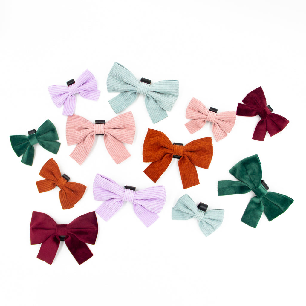 Brightly coloured corduroy dog bows, with velcro to attached to dog collars from Little Ellie Boutique an Australian Pet Brand