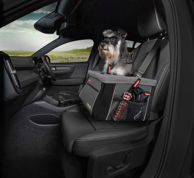 black interior of car with schnauzer dog sitting in a dog carrier bed