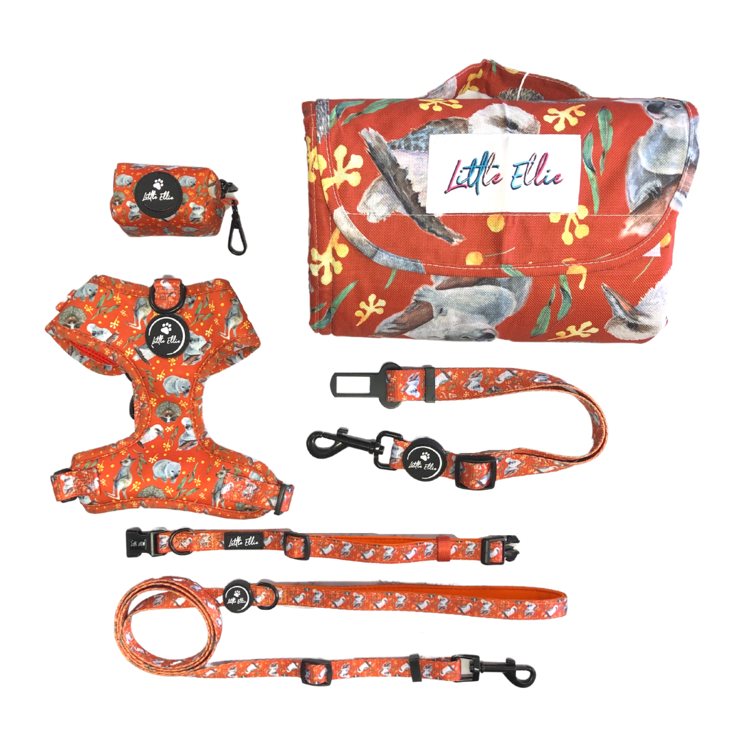 Adjustable Dog Accessory Set Aussie Animals Little Ellie Boutique
