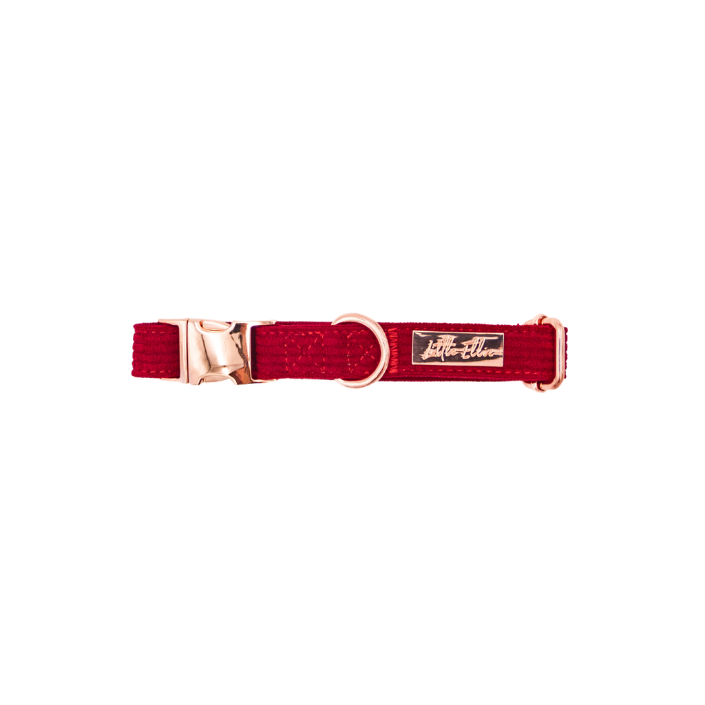Crimson red corduroy luxury dog collar on transparent