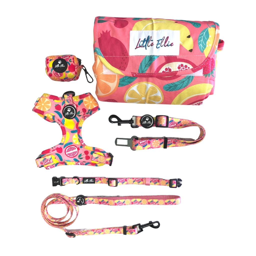 Adjustable dog accessory set in colourful Tutti Frutti design, on transparent background. Adjustable dog harness, adjustable dog collar, dog travel mat, adjustable dog leash, dog poop bag holder, dog bows