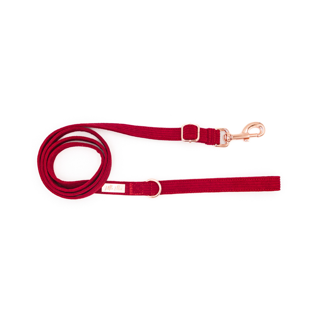 Crimson red corduroy luxury adjustable dog leash on white background