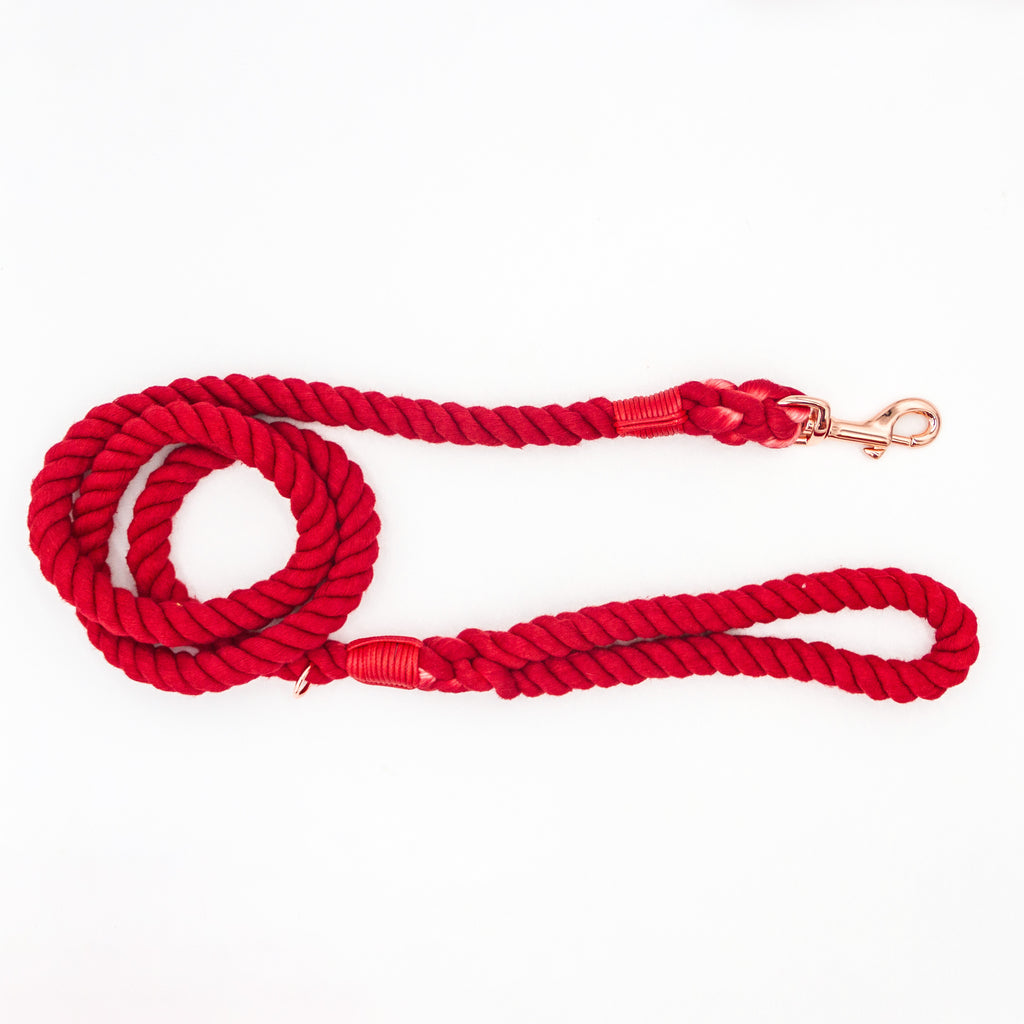 Tri-twisted rope dog crimson red on a white background