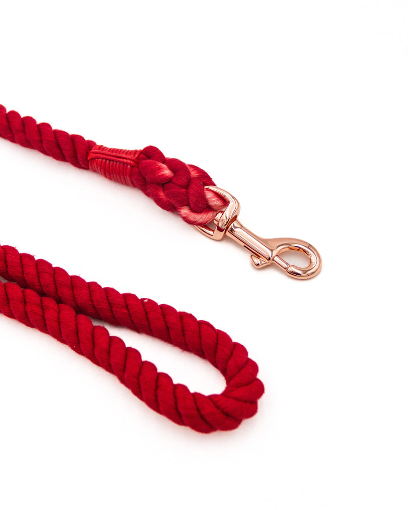 Tri-twisted rope dog crimson red on a white background