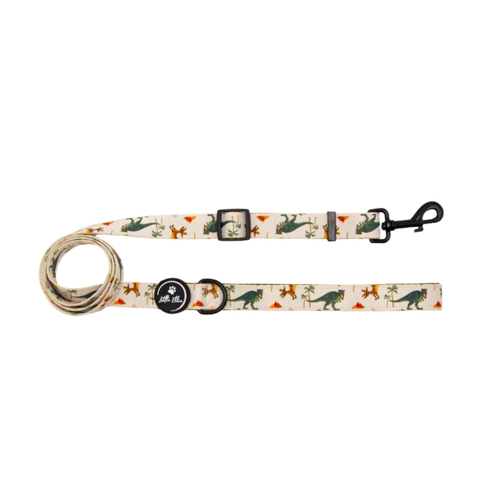 Wide adjustable dog leash in colourful dinosaur print.