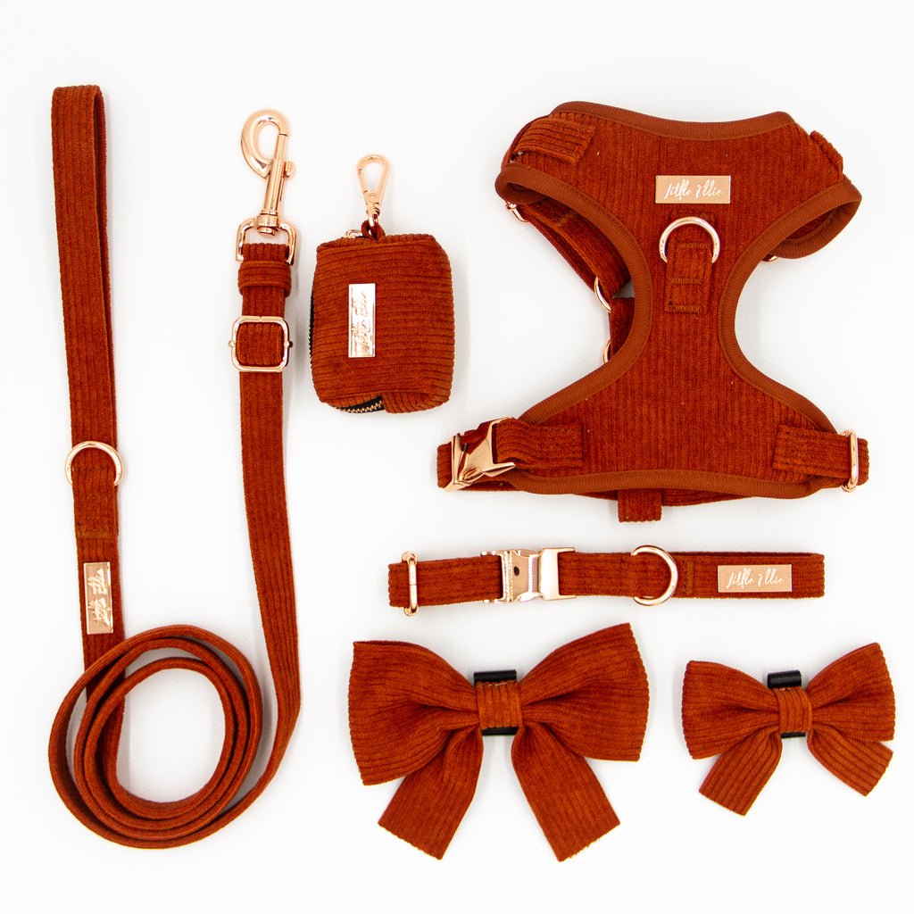 Adjustable dog accessory set in rust corduroy, on white background. Adjustable dog harness, adjustable dog collar, adjustable dog leash, dog poop bag holder, dog bows