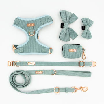 Adjustable dog accessory set in sage green corduroy velvet, on white background. Adjustable dog harness, adjustable dog collar, adjustable dog leash, dog poop bag holder, dog bows