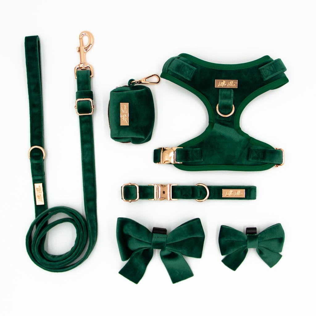 Adjustable dog accessory set in Emerald Green velvet, on white background. Adjustable dog harness, adjustable dog collar, adjustable dog leash, dog poop bag holder, dog bows