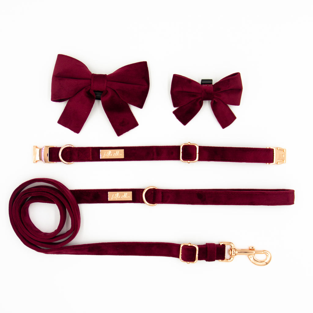 Adjustable dog leash in wine burgundy velvet in rose gold hardware. Adjustable velvet dog collar, velvet dog bows