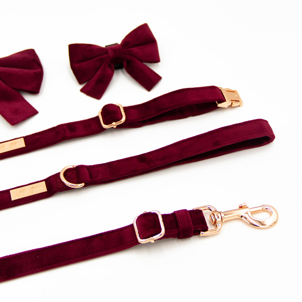 Adjustable dog leash and adjustable dog collar in wine burgundy velvet. With velvet dog bows