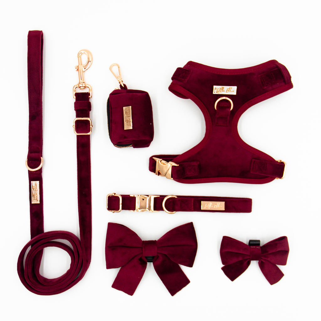 Adjustable dog accessory set in Wine burgundy velvet, on white background. Adjustable dog harness, adjustable dog collar, adjustable dog leash, dog poop bag holder, dog bows