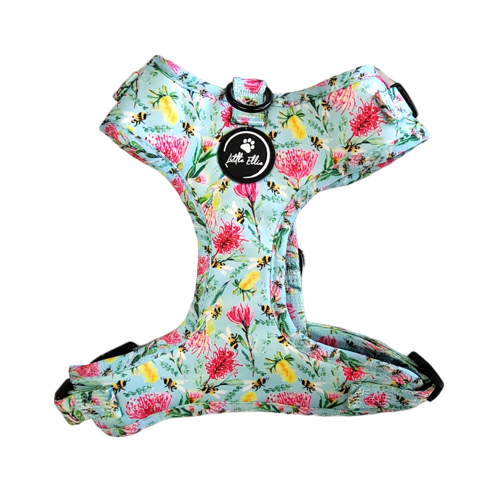 Adjustable dog harness made from neoprene webbing for quick-drying, in a colourful natives bees design