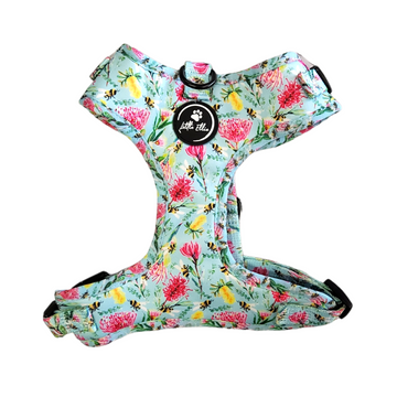Adjustable dog harness made from neoprene webbing for quick-drying, in a colourful natives bees design