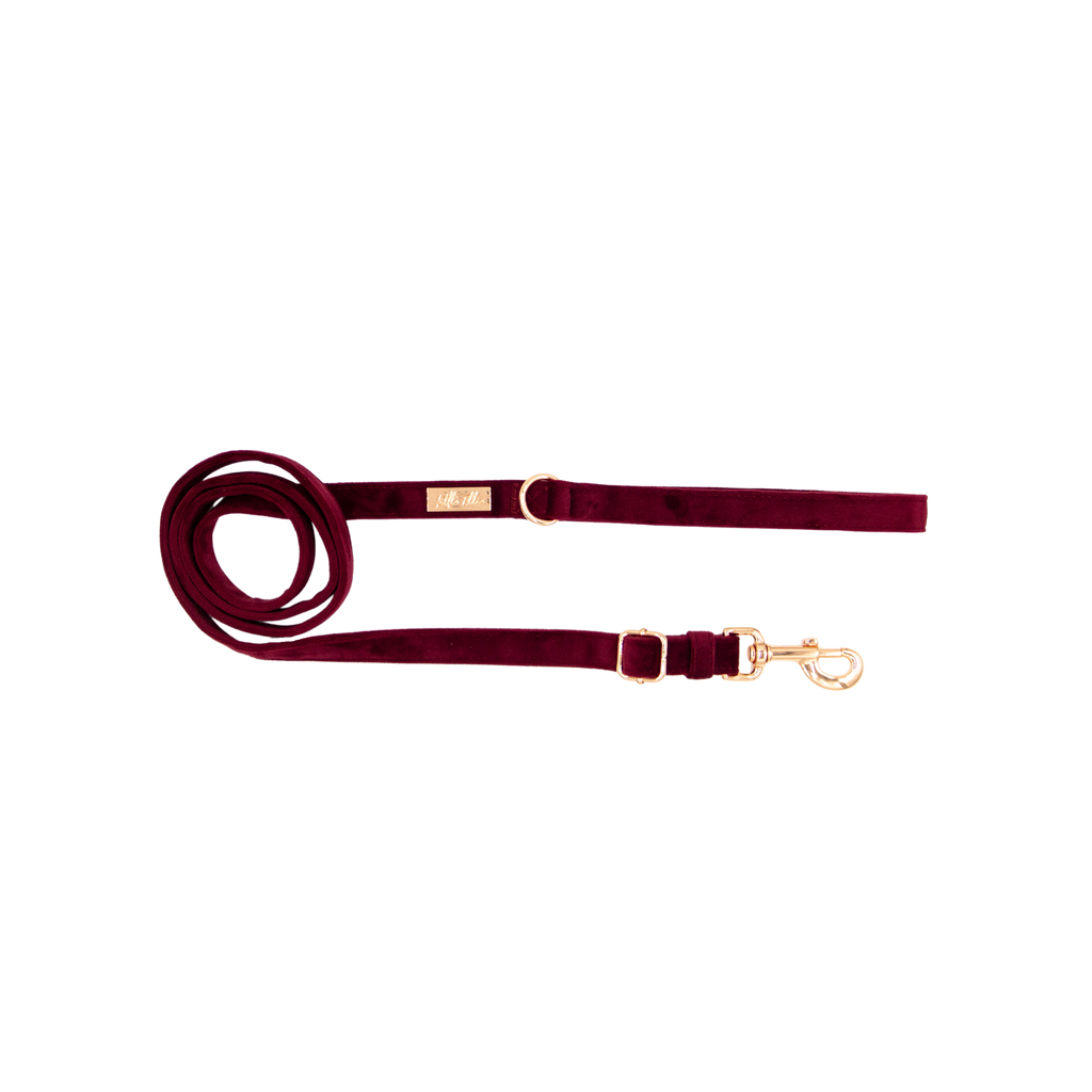 Adjustable dog leash in wine burgundy velvet in rose gold hardware