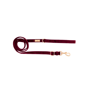 Adjustable dog leash in wine burgundy velvet in rose gold hardware